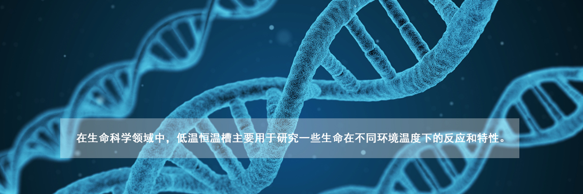 天科科技產(chǎn)品廣泛應用在各行業(yè)